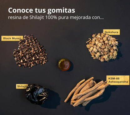 BlackVeit Gold Gomitas de Shilajit Puro del Himalaya: Con Ashwagandha, Black Musli y Gokshura